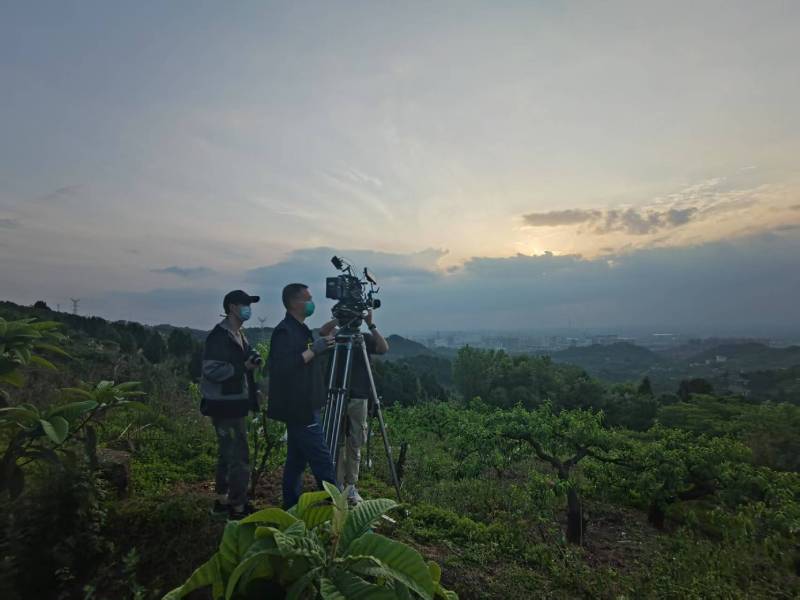 创意破圈！广河县电商产品宣传视频用故事化叙事引爆流量