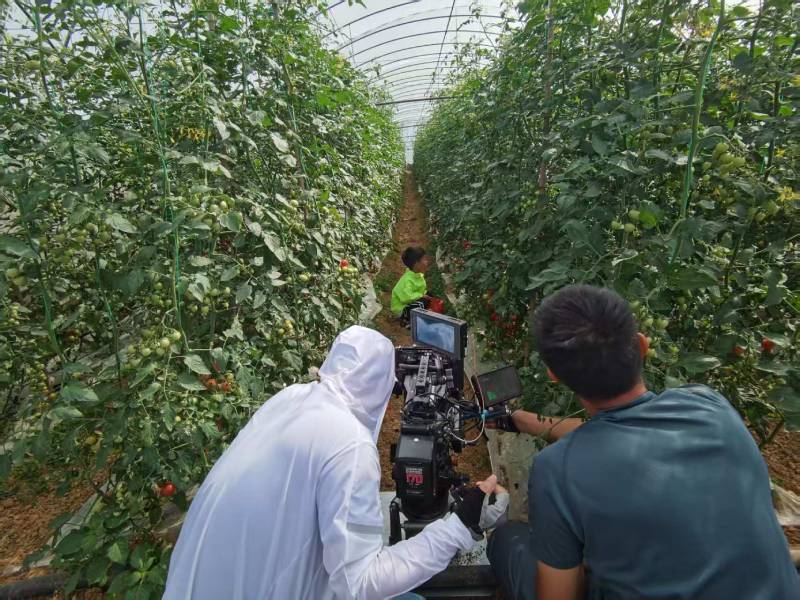 广河县产品宣传视频拍摄公司进阶指南，助力品牌抢占传播高地